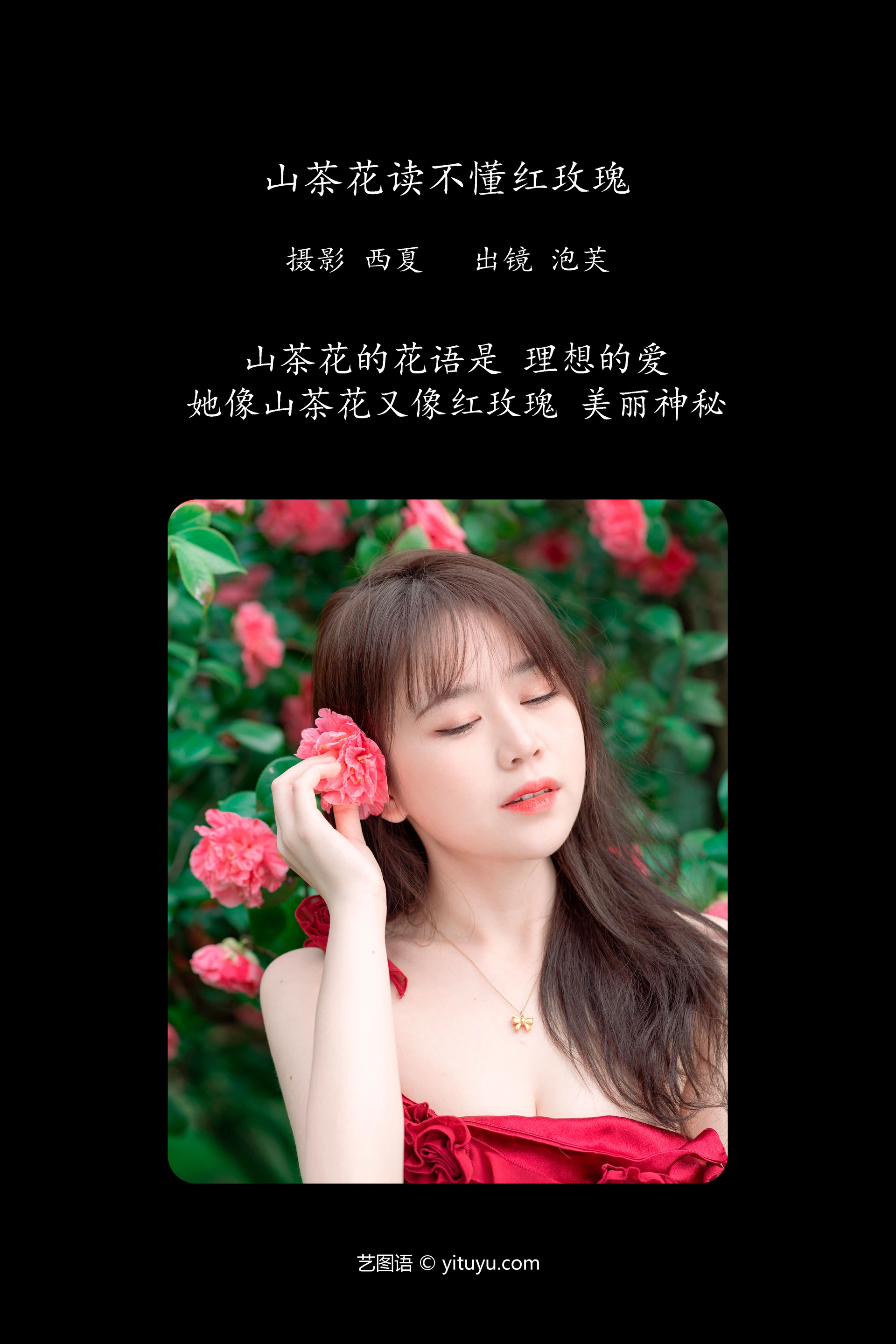 [YITUYU艺图语]2023.12.24 山茶花读不懂红玫瑰 泡芙小方 1